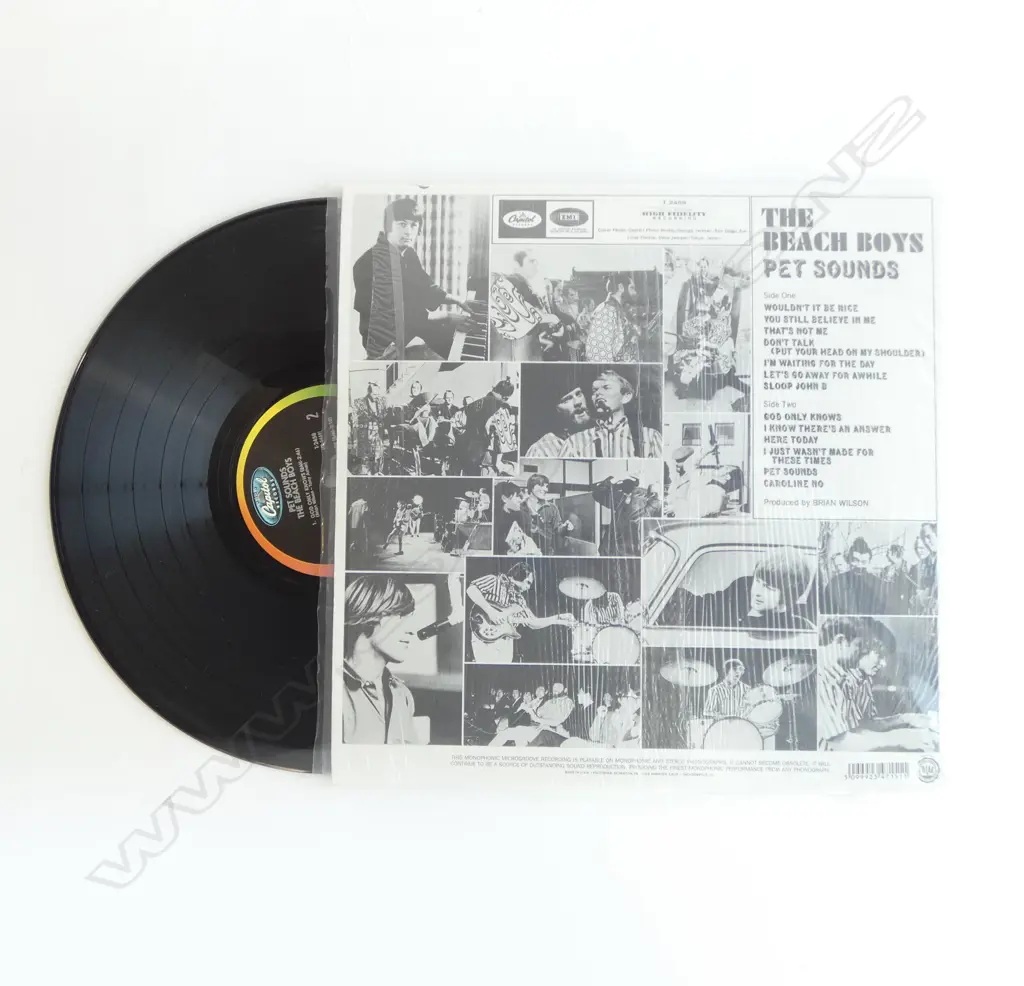 THE BEACH BOYS 'PET SOUNDS' T-2458 Image 1++